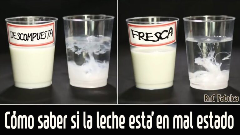 Como saber si la leche esta cortada