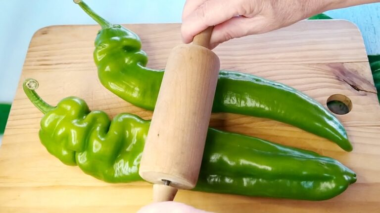 Recetas con pimientos rojos y verdes