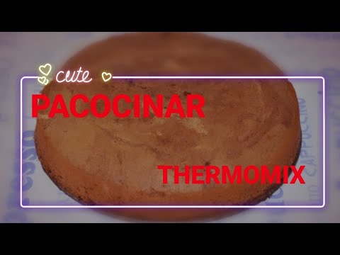 Bizcocho de claras y chocolate thermomix