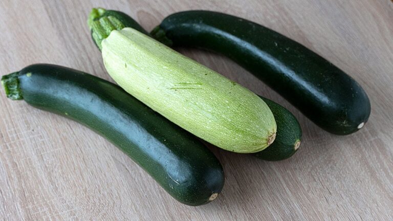 Recetas de calabacin faciles y rapidas