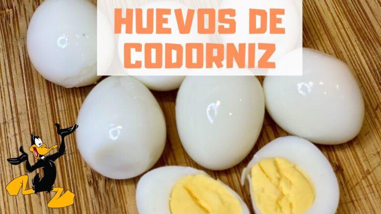 Como se cuecen los huevos de codorniz