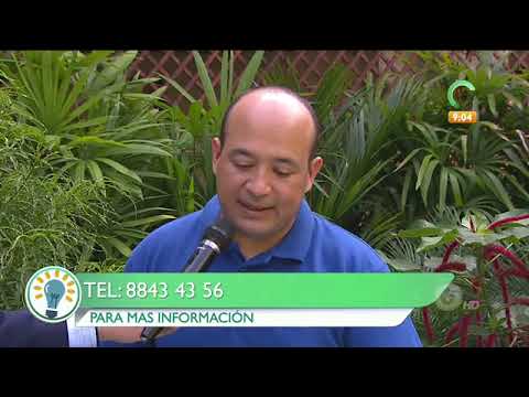 Propiedades de los huevos de codorniz