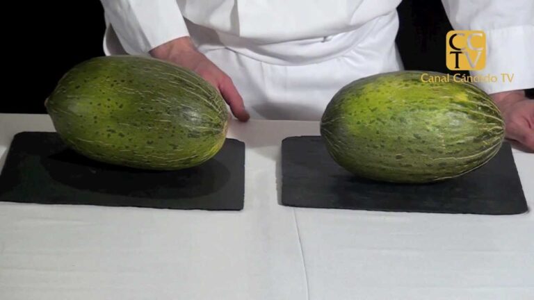 Como saber si un melon esta bueno