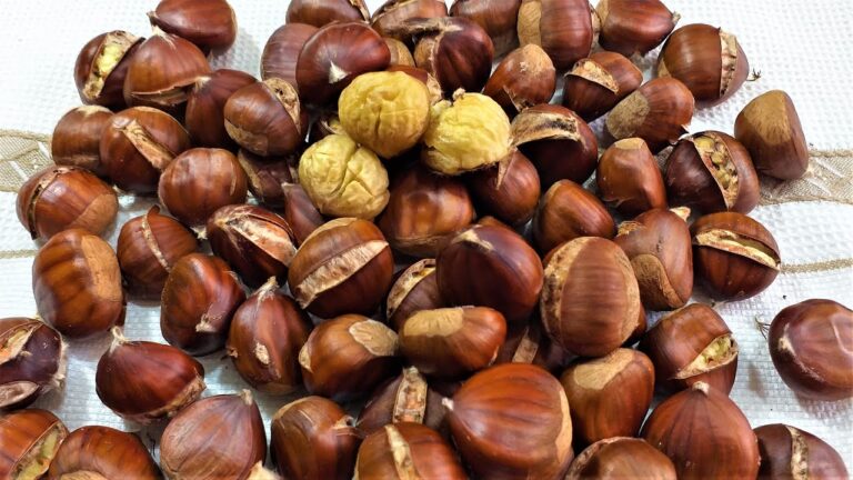 Cuanto tardan las casta&ntilde;as al horno