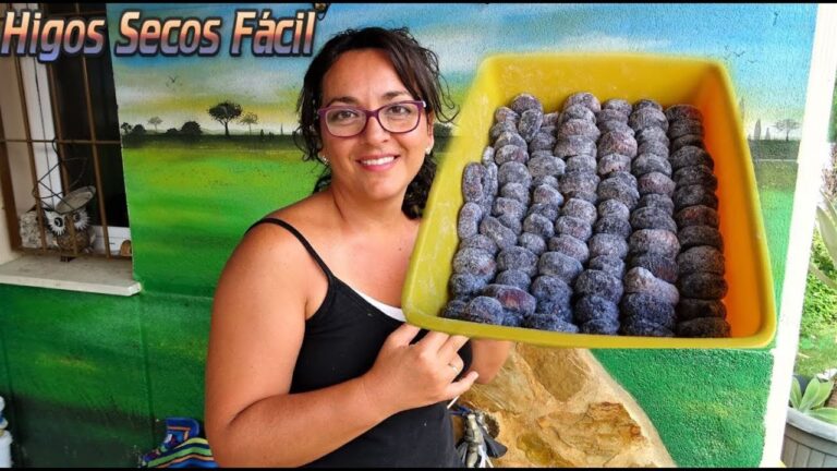Como secar higos de forma natural
