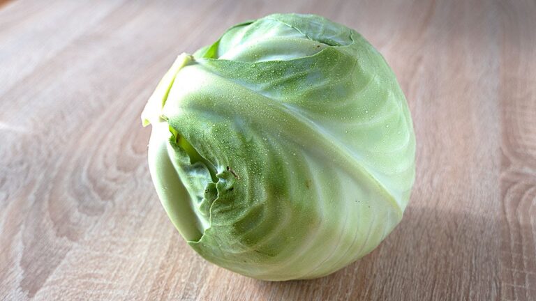 Recetas de repollo fáciles y ricas