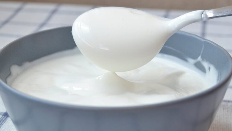 Mayonesa de leche en batidora de vaso
