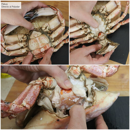 Como cocer un buey de mar vivo