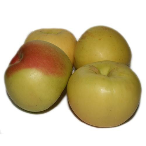 Como se dice manzana en inglés