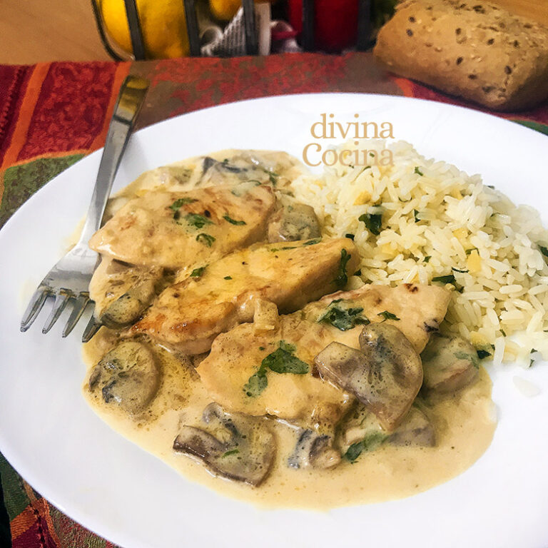 Filetes de pechuga de pavo en salsa