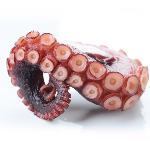 Pulpo a la plancha con puré de patatas